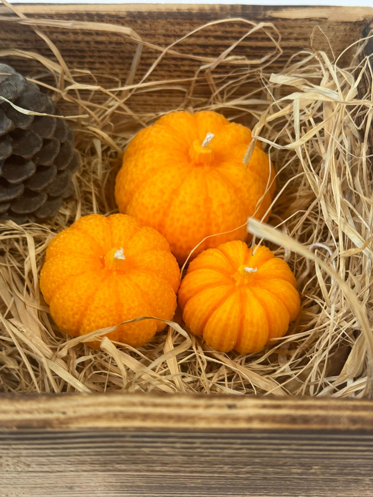 Mini Pumpkin Family
